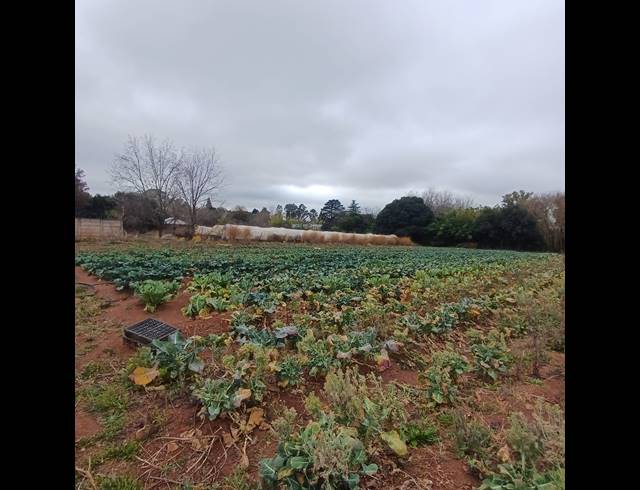 4,064M² VACANT LAND FOR SALE IN HENLEY ON KLIP